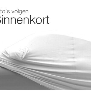 verwarmde voorruiten